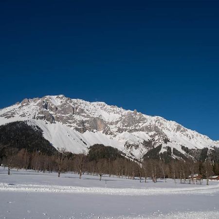 Adlernest Leilighet Ramsau am Dachstein Eksteriør bilde