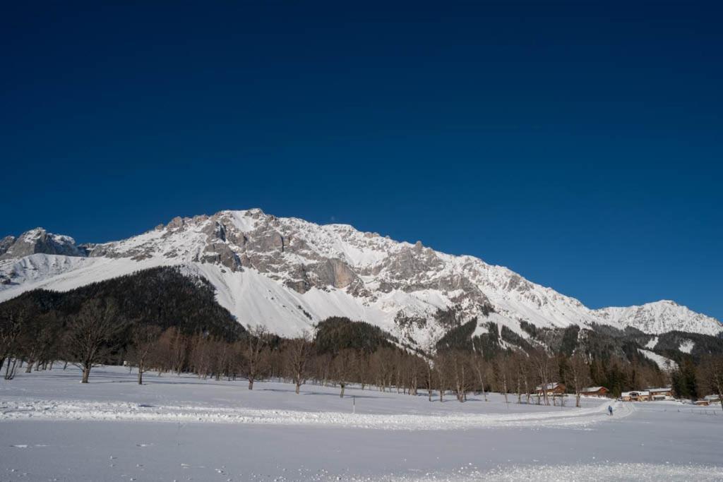 Adlernest Leilighet Ramsau am Dachstein Eksteriør bilde